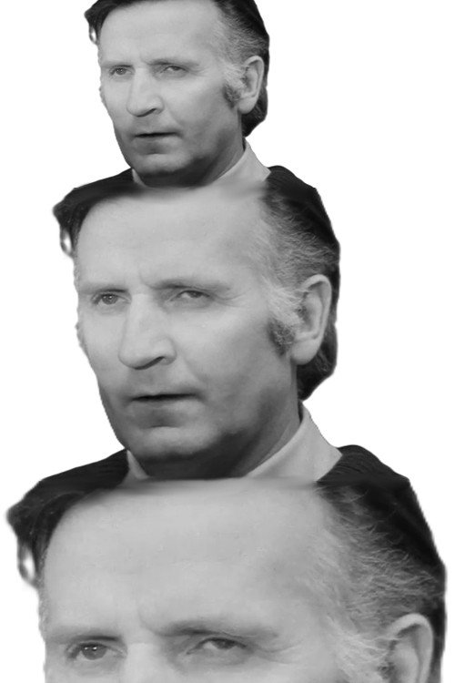По коням, мальчики!