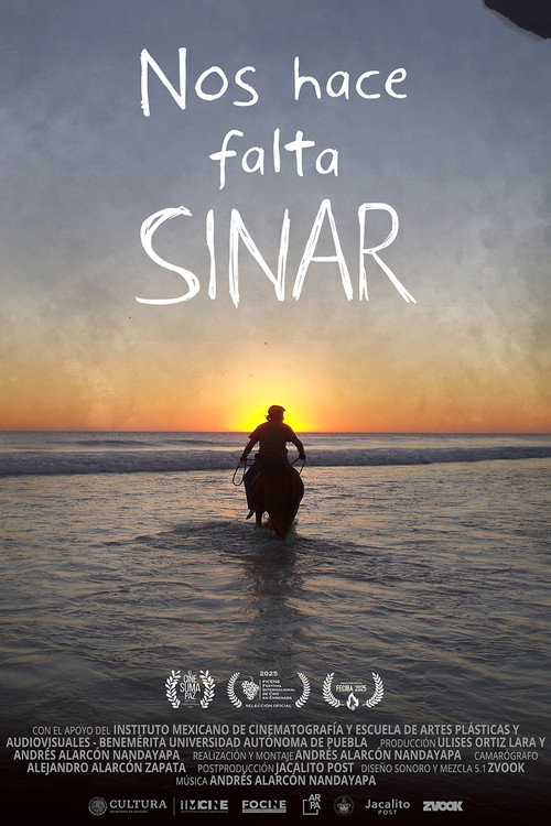 Nos hace falta Sinar