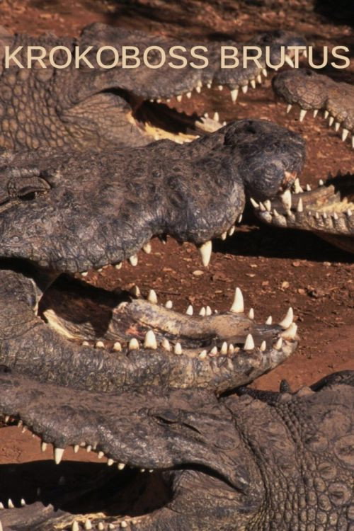 Boss Croc