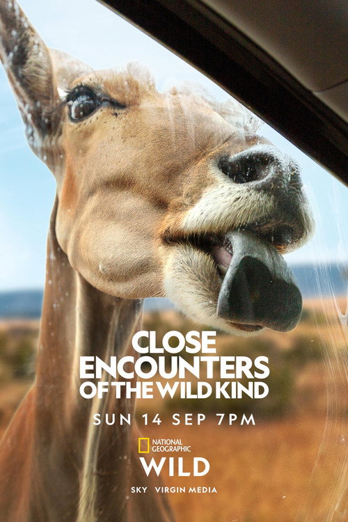 Close Encounters of the Wild Kind