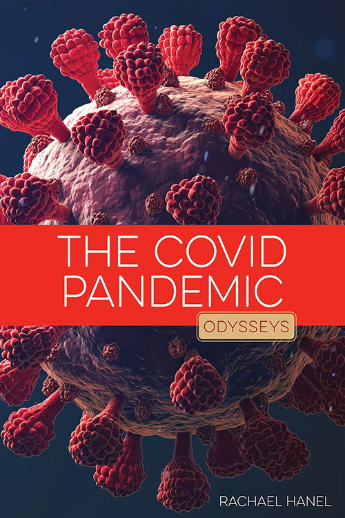 The Coronavirus Epidemic