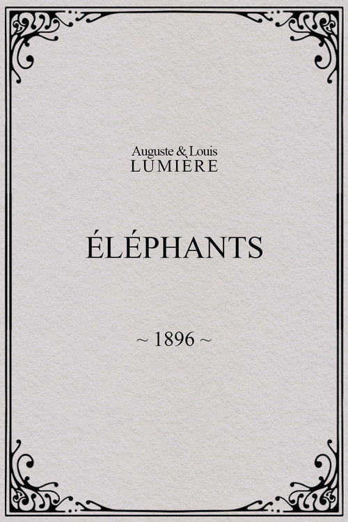 Éléphants