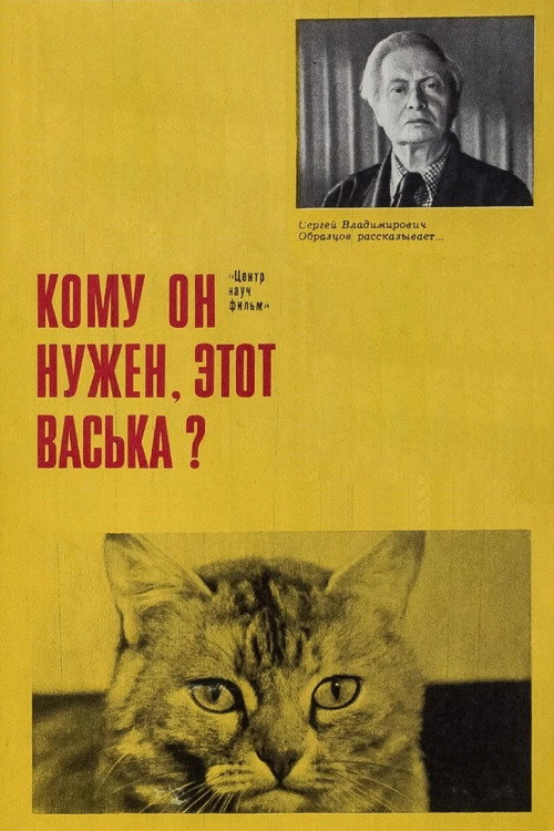 Кому он нужен, этот Васька!