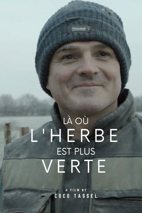 Là où l'herbe est plus verte
