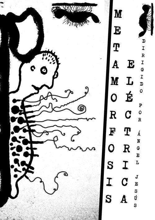 Metamorfosis electrica