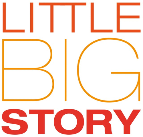 Логотип Little Big Story