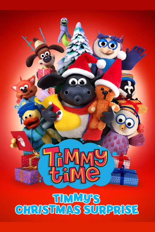 Timmy's Christmas Surprise