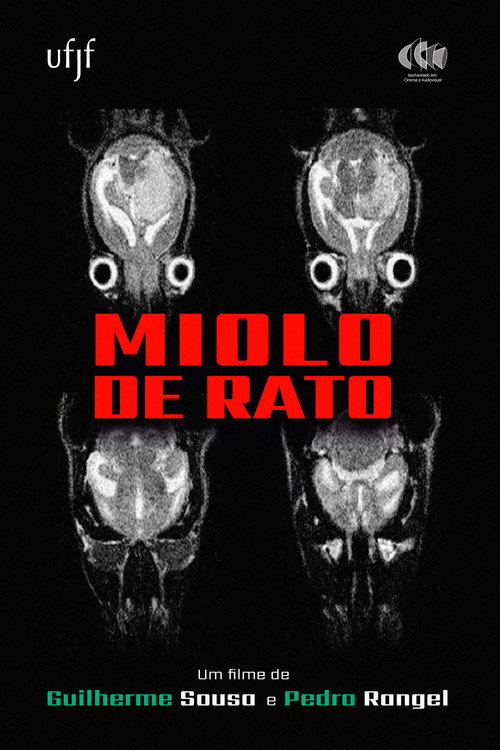 Miolo de Rato