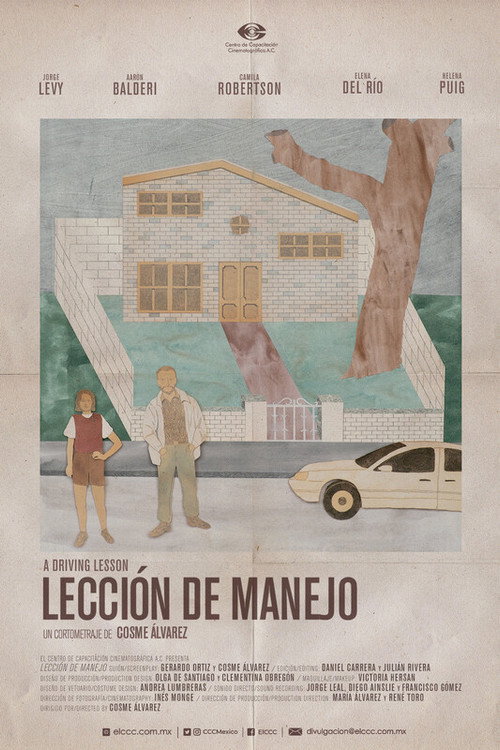 Lección de manejo