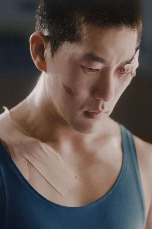 파테르
