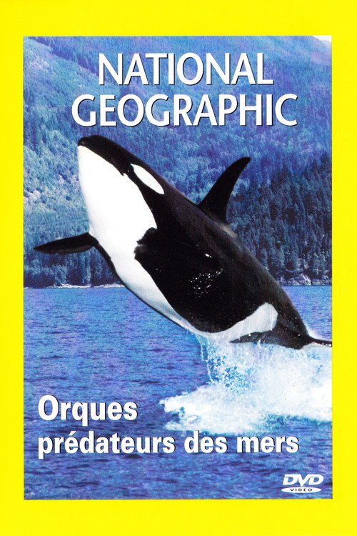 National Geographic : Orques, prédateurs des mers
