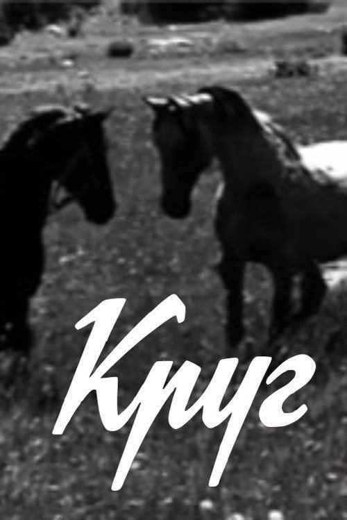 Круг