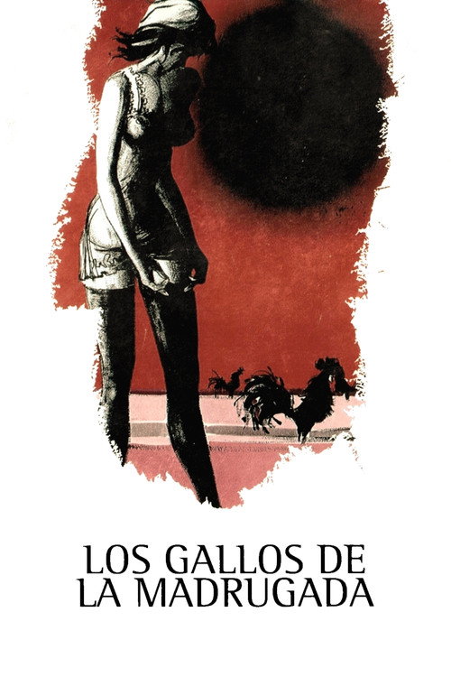 Los gallos de la madrugada