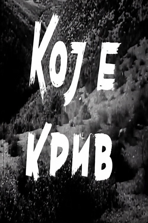Кој е крив?