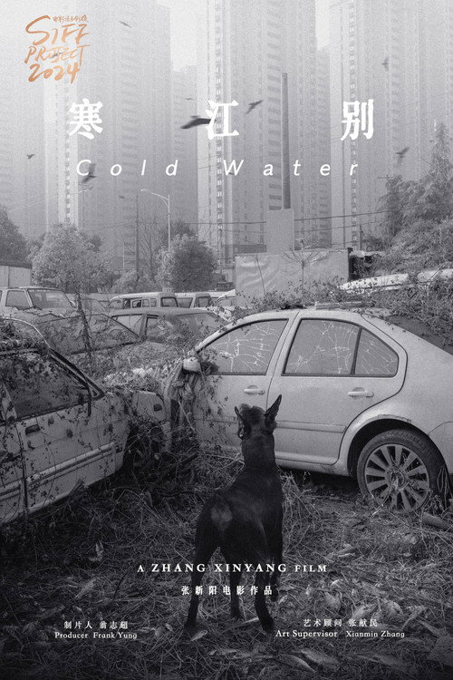 伤寒杂病论