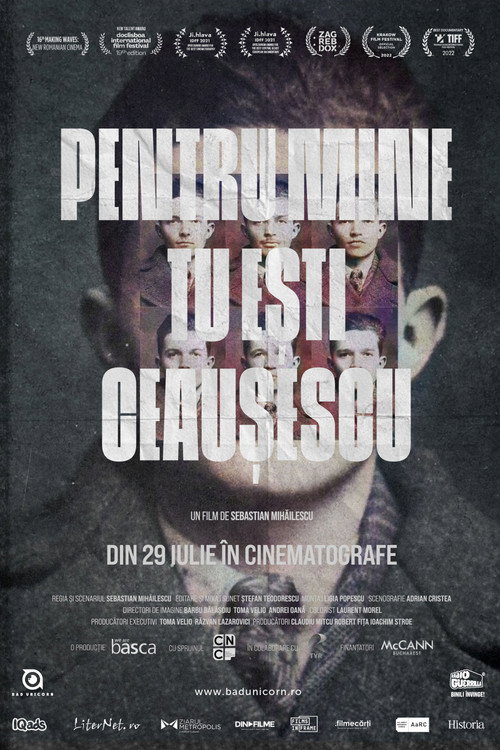 Pentru mine tu ești Ceaușescu