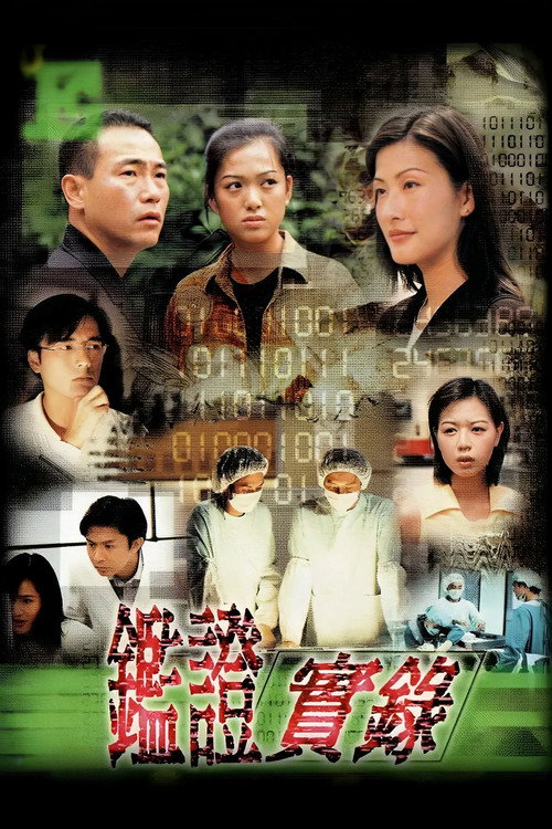 鑑證實錄