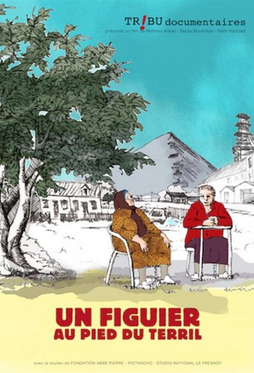 Un Figuier Au Pied Du Terril