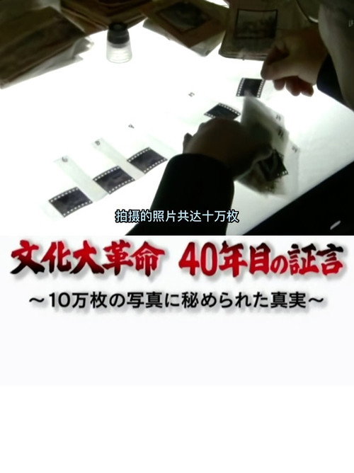 文化大革命40年目の証言 10万枚の写真に秘められた真実