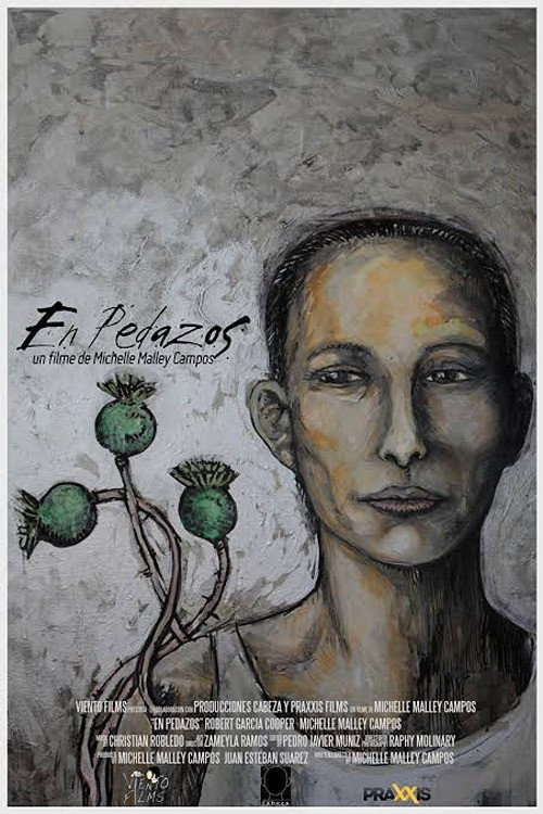 En pedazos