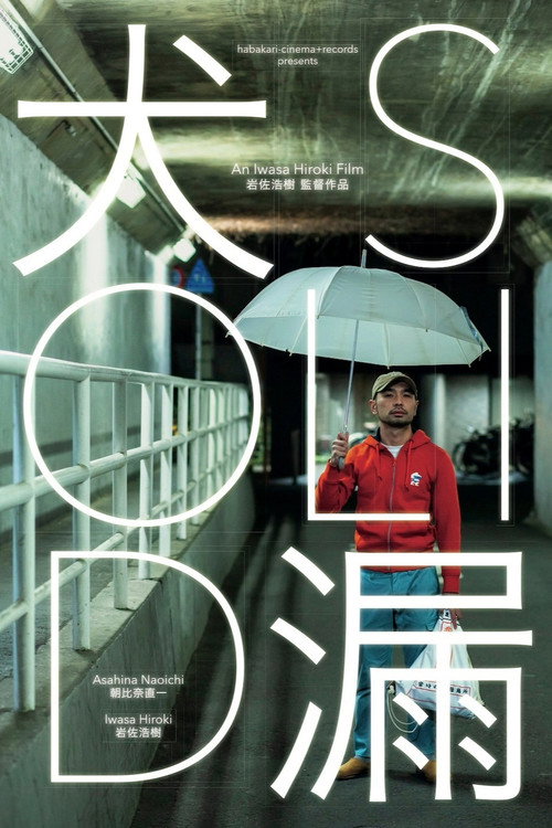犬漏
