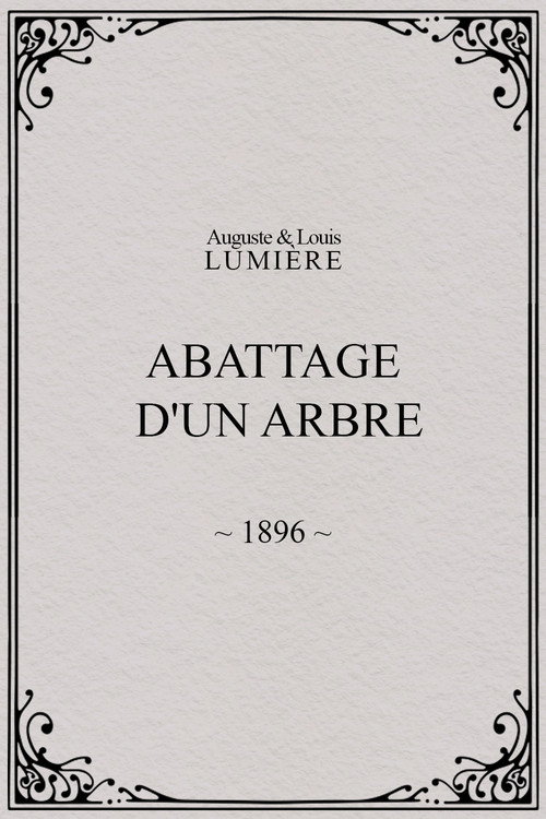 Abattage d'un arbre