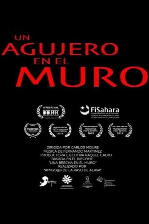 Un agujero en el muro
