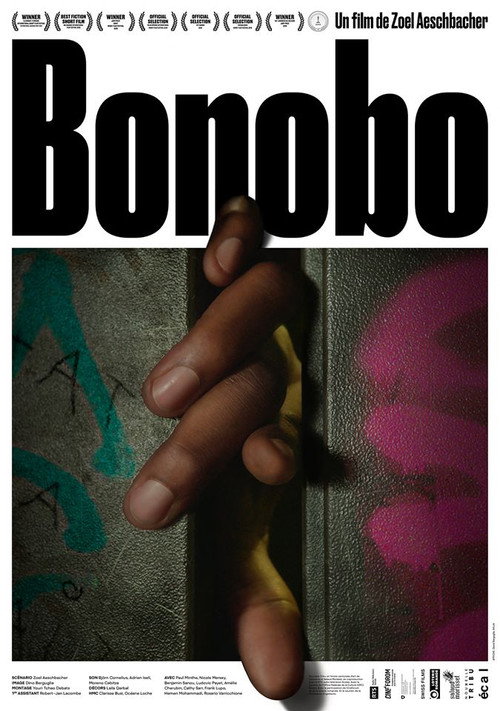 Bonobo