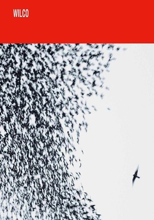 Wilco: Shake It Off