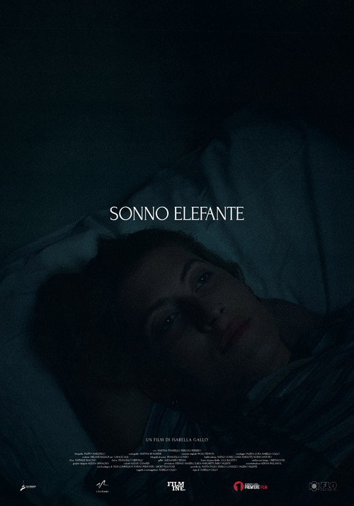 Sonno Elefante