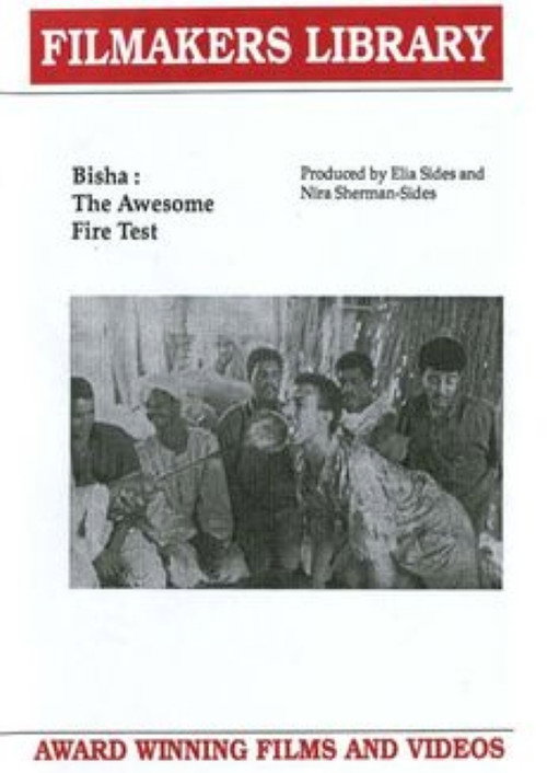 Bisha: The Awesome Fire Test