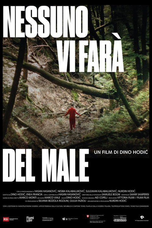 Nessuno vi farà del male