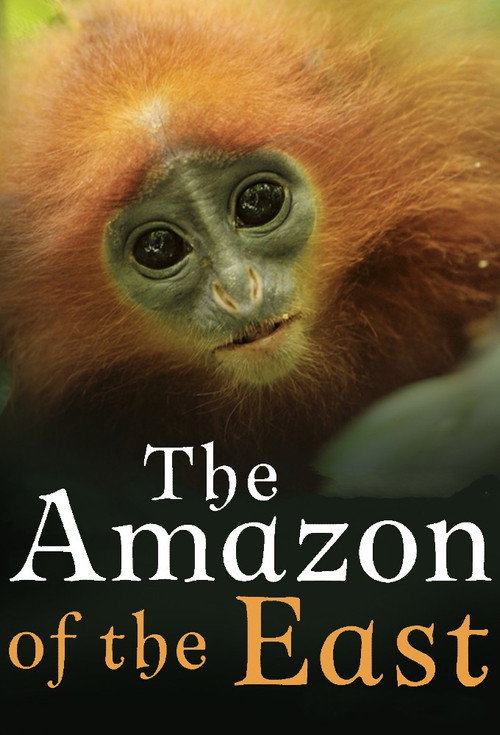 Kinabatangan: Der Amazonas des Ostens