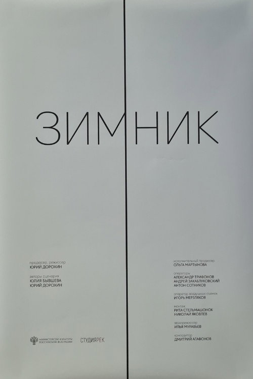 Зимник