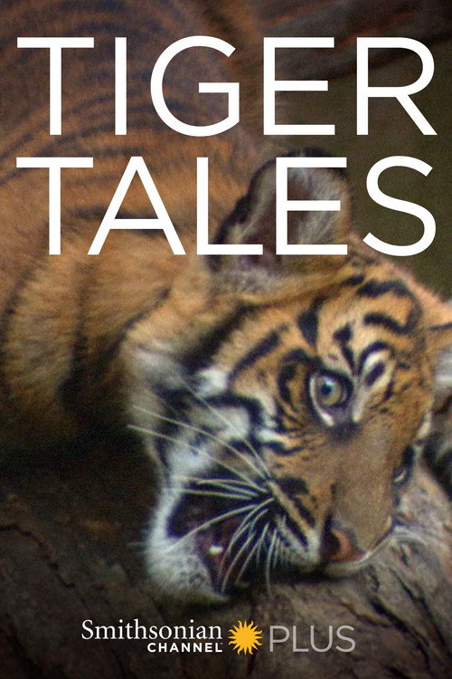 Tiger Tales