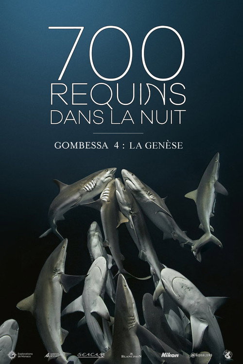 700 requins dans la nuit (Gombessa 4, la genèse)