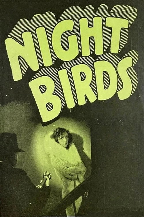 Night Birds