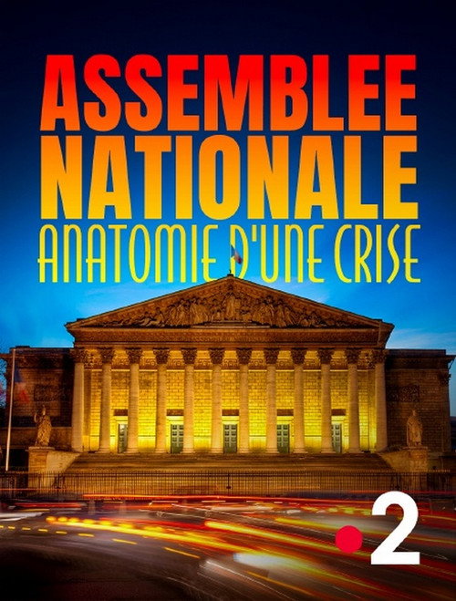 Assemblée nationale, anatomie d'une crise