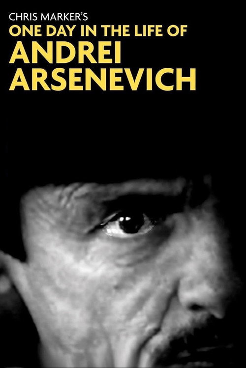 Один день из жизни Андрея Арсеньевича