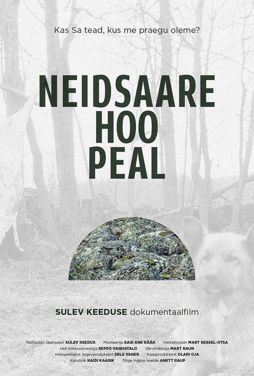 Neidsaare hoo peal