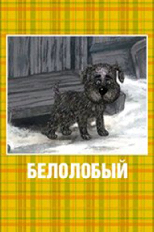 Белолобый