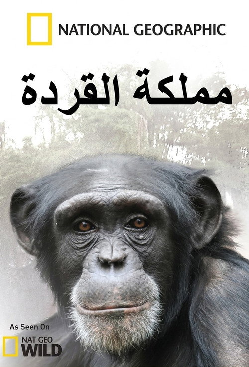 Kingdom of the Apes
