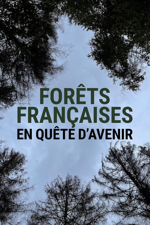 Forêts françaises en quête d'avenir