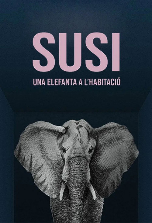 Susi, una elefanta a l'habitació