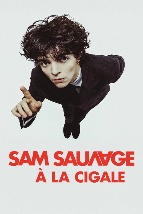 Sam Sauvage à La Cigale